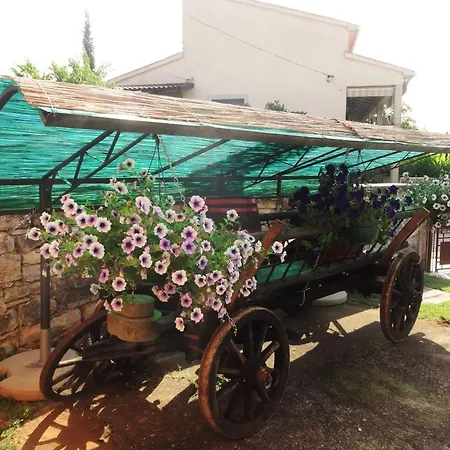 House Murva